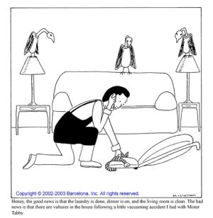 Mister Tabbys Accident