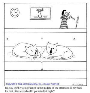 Sallys Violin Practice